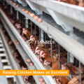 4 Tiers Lieferanten Design Hühnerei Schicht Käfige zum Verkauf